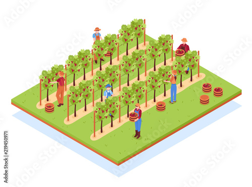 Winery Isometric Composition
