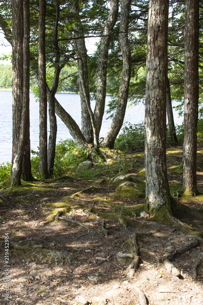 Keji camping site on the lake on a sunny day Keji camping site on the lake on a sunny day