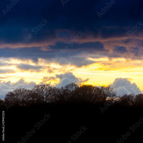 Sunset over the New Forest