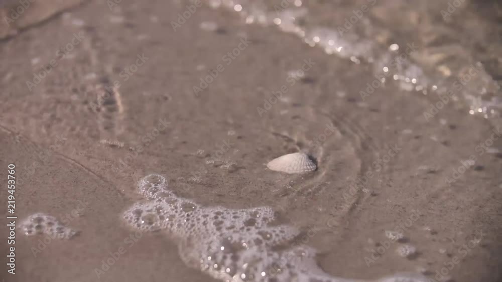 Waves cover seashell on beach, slow motion close up Waves cover seashell on beach, slow motion close up