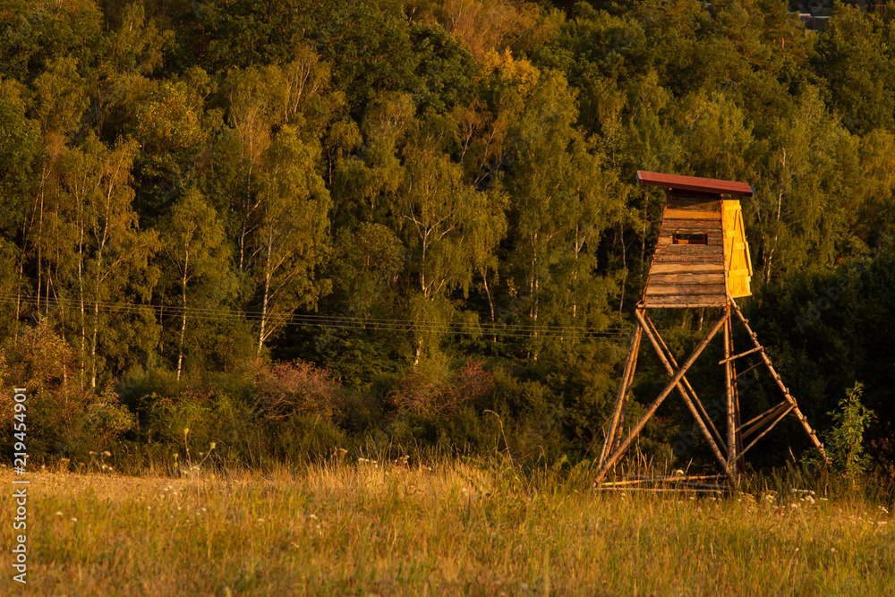 Hunting pulpit on a meadow near the forest from the side view Hunting pulpit on a meadow near the forest from the side view