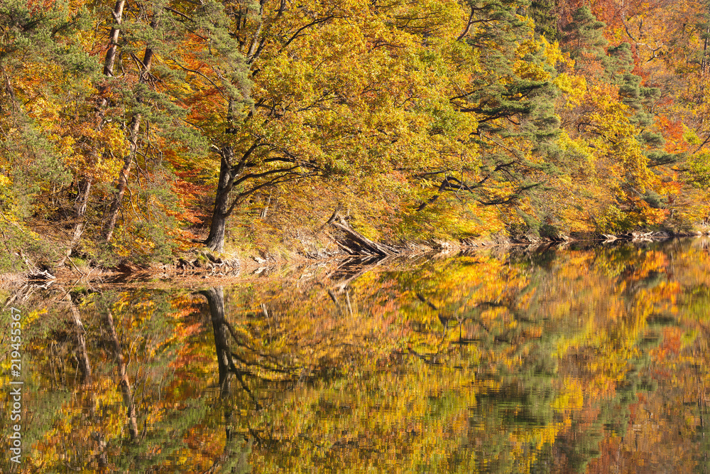 Autumnal wooded shore reflected in the water Autumnal wooded shore reflected in the water