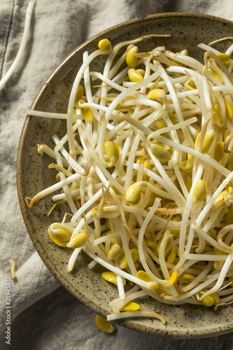 Raw Organic Soy Bean Sprouts