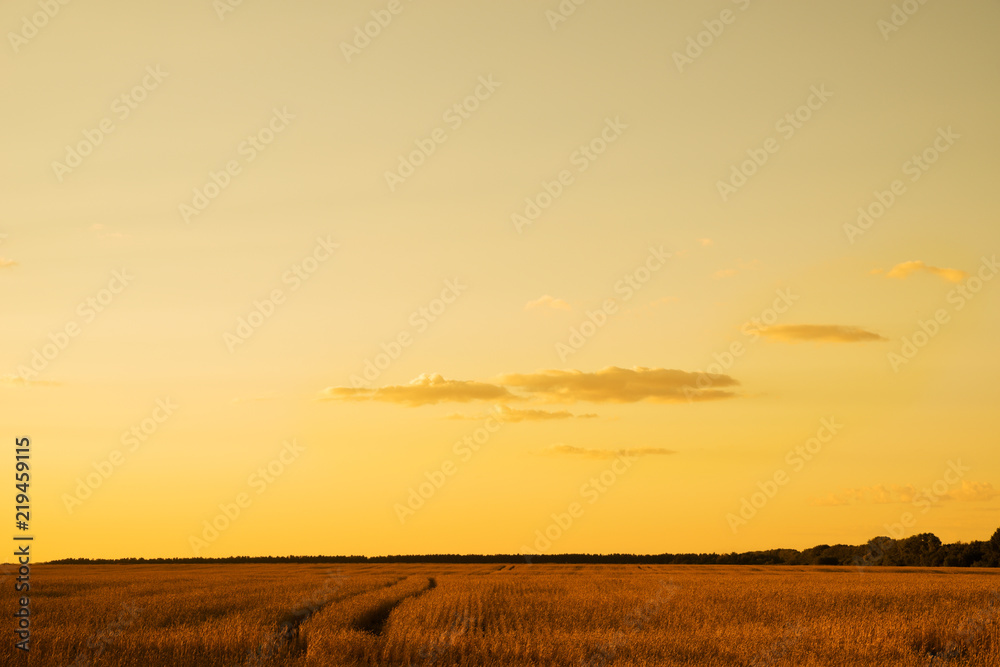 Sunset sky in summer