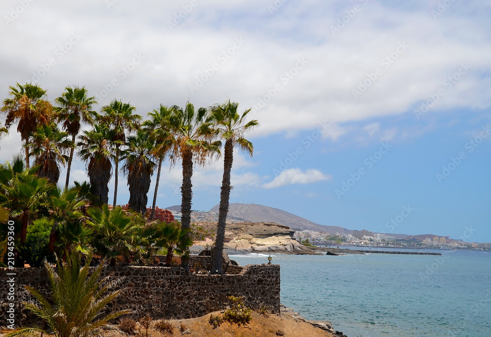 Beautiful coastal view with palm trees in the foreground in Costa Adeje,Tenerife,Canary islands,Spain.Travel or vacation concept.