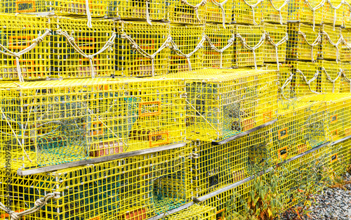 rows of bright yellow lobster traps with ropes attached stacked on a wharf in Massachusetts photo