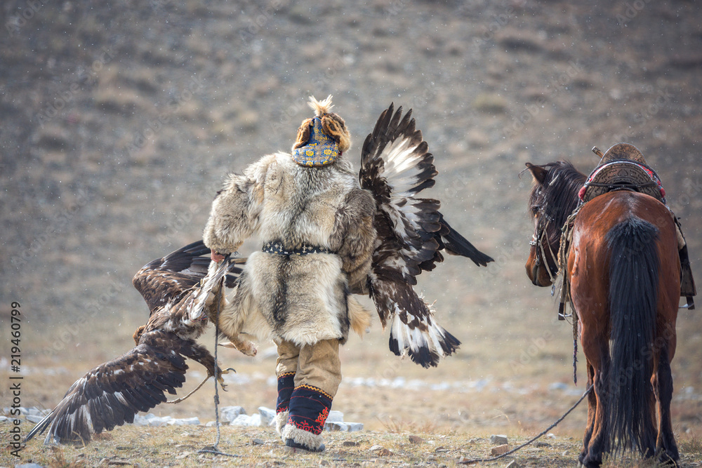 Western Mongolia, Golden Eagle Festival. The Mongolian Nomad Bears Two Golden Eagles In His Hands After The