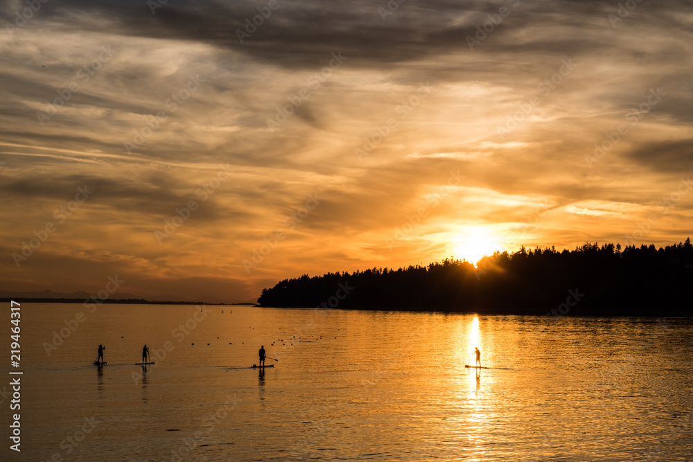 Naklejka premium Paddle board into the sun