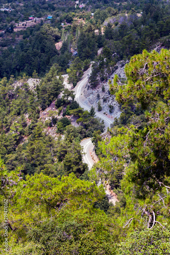 Mountain slopes with trees, terrases and roads in the Troodos region of Cyprus in summer