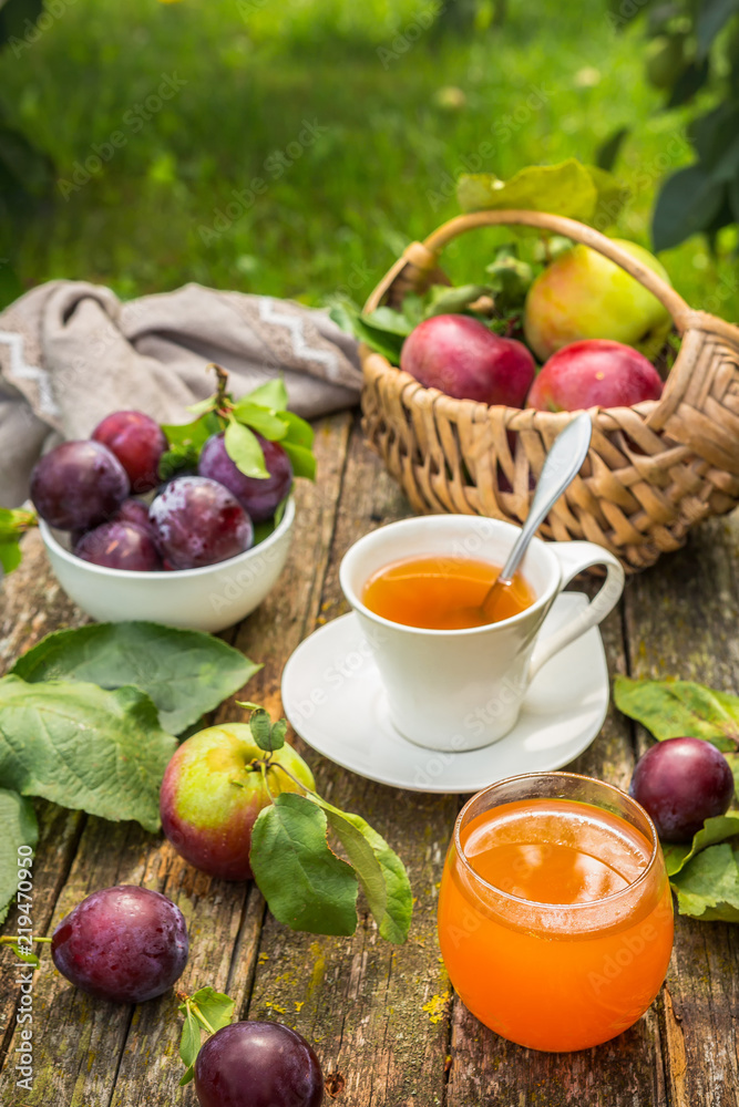 Eating apples juice pie coffee tea on a picnic in nature in a rustic garden on a sunny afternoon, the concept of outdoor recreation, travel and food Eating apples juice pie coffee tea on a picnic in nature in a rustic garden on a sunny afternoon, the concept of outdoor recreation, travel and food