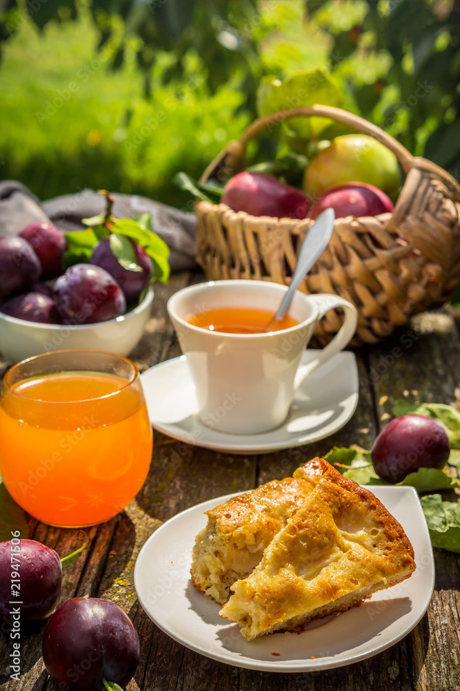Eating apples juice pie coffee tea on a picnic in nature in a rustic garden on a sunny afternoon, the concept of outdoor recreation, travel and food Eating apples juice pie coffee tea on a picnic in nature in a rustic garden on a sunny afternoon, the concept of outdoor recreation, travel and food