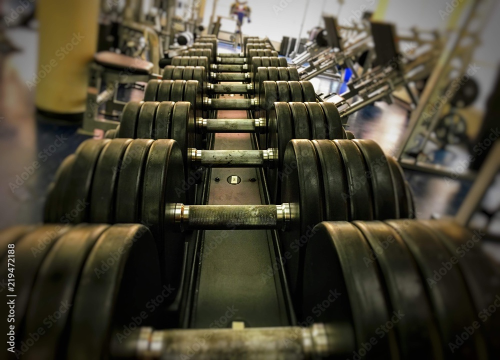 A row of heavy dumbbells at the gym
