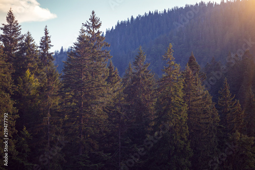 beautiful mountain landscape © Sergii Mostovyi