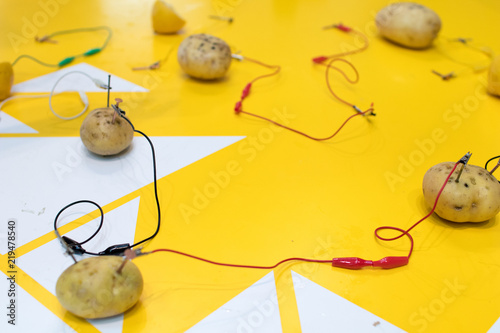 Potato battery STEM activity with potatoes, lemons, alligator clips, zinc and copper nails. Natural battery to turn on a led. scientific experiment for children on electricity on yellow background photo