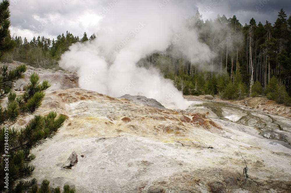 Fototapeta premium Yellowstone National Park