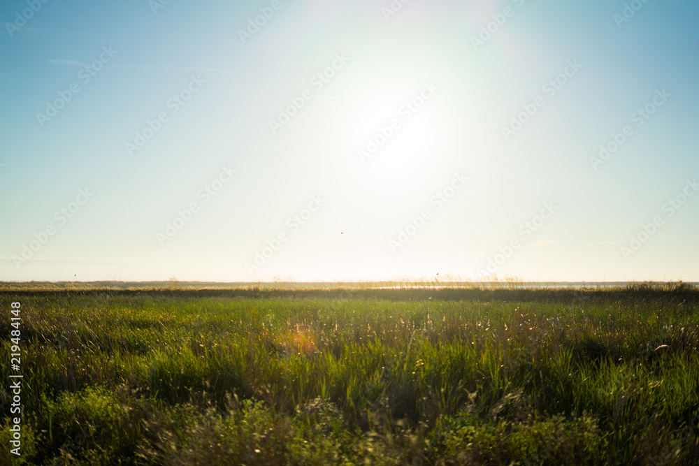 Obraz premium sunshine in Alviso Marina County Park at sunset time