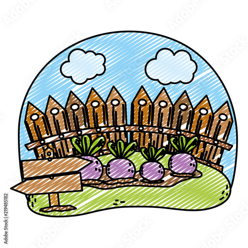 doodle wood grillage and onions farm cultivated