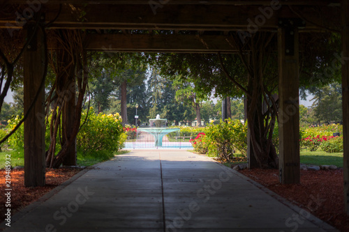 blurry fountain background and tree door view in Rose Gardens