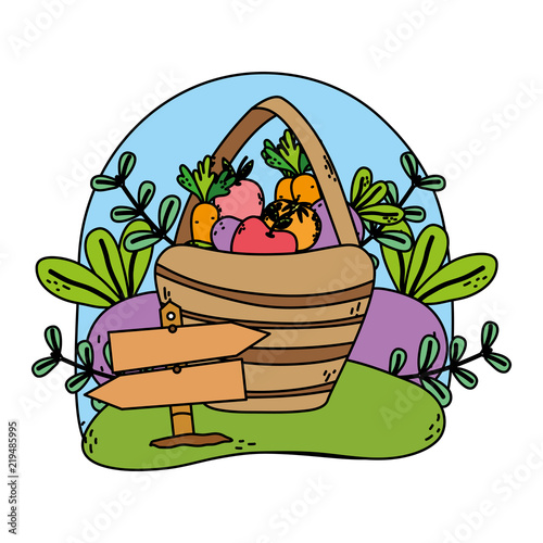 color vegetables and fruits inside hamper farm products