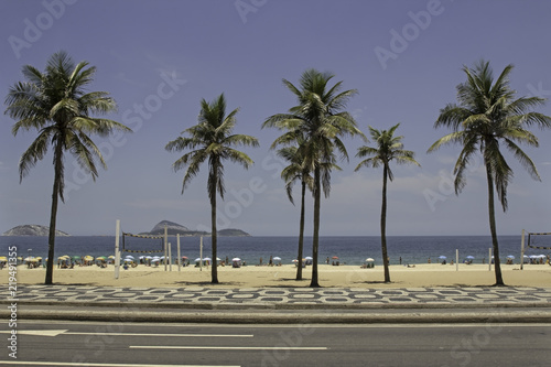 Fototapeta Naklejka Na Ścianę i Meble -  Beautiful palm trees on Ipanema beach in sunny Rio de Janeiro Brazil