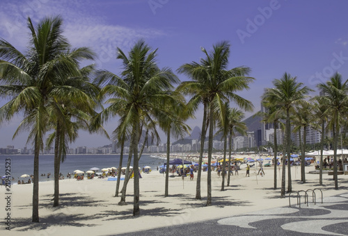 Fototapeta Naklejka Na Ścianę i Meble -  Palm trees on the beach near Leme in Rio de Janeiro Brazil