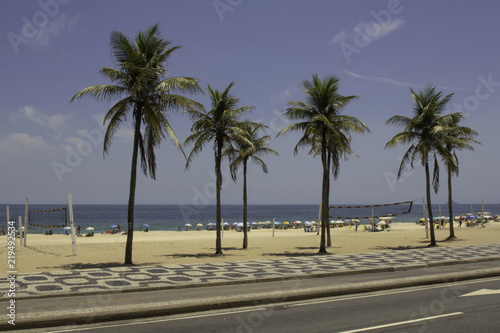 Palm trees in the sun on Ipanema beach in Rio de Janeiro Brazil