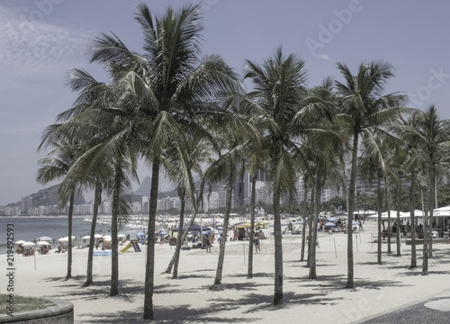 Palms on Leme beach in Rio de Janeiro Brazil