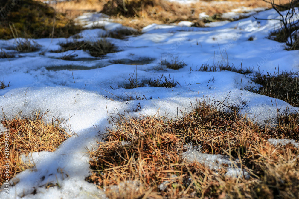 The beauty of the Pudacuo National Forest Park on the Shangri-La Plateau in China is in the spring, and the snow has not yet melted. The beauty of the Pudacuo National Forest Park on the Shangri-La Plateau in China is in the spring, and the snow has not yet melted.