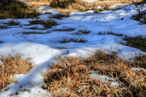 The beauty of the Pudacuo National Forest Park on the Shangri-La Plateau in China is in the spring, and the snow has not yet melted.