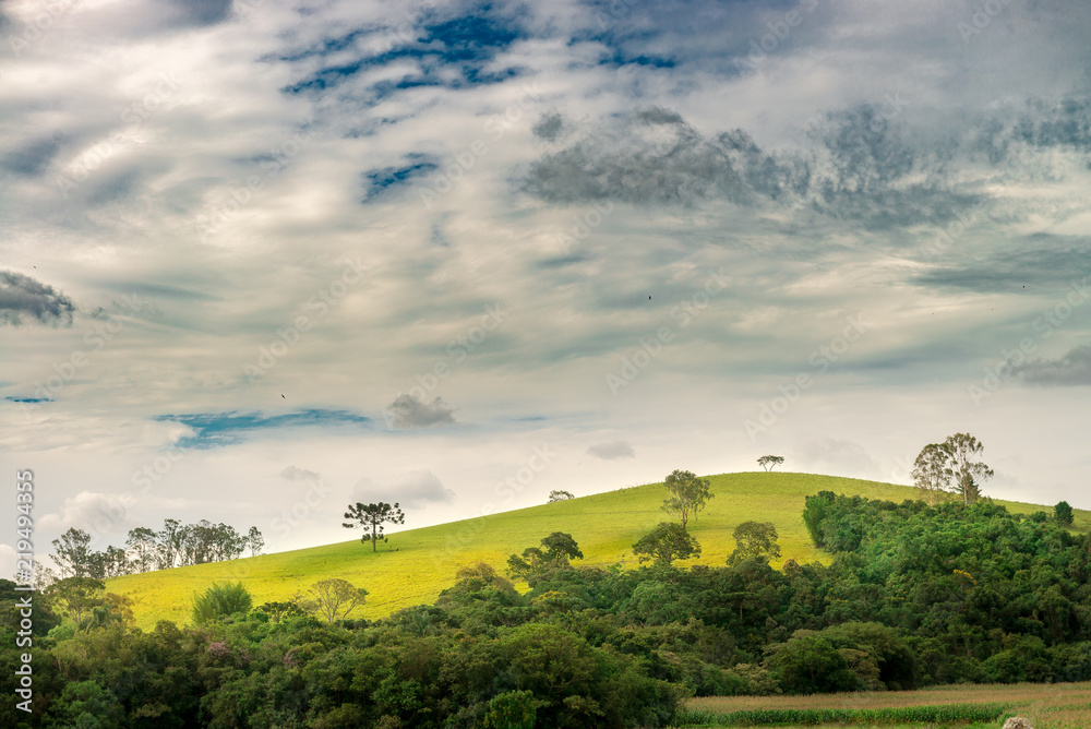 Mountains and nature on summer afternoon