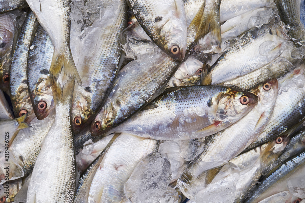Obraz premium fresh fish at the market