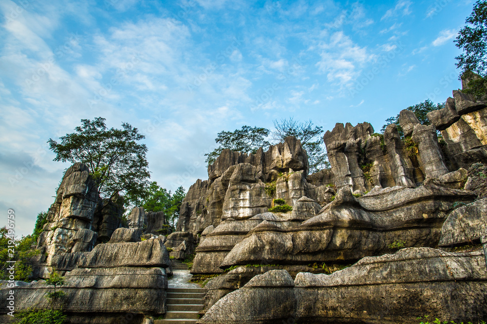 Stone Forest Landscape in Southwest China