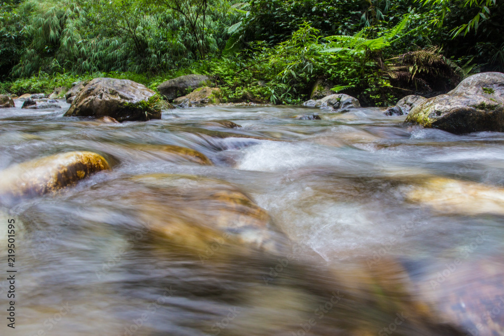 Fototapeta premium The stream in the mountains, the stream is flowing