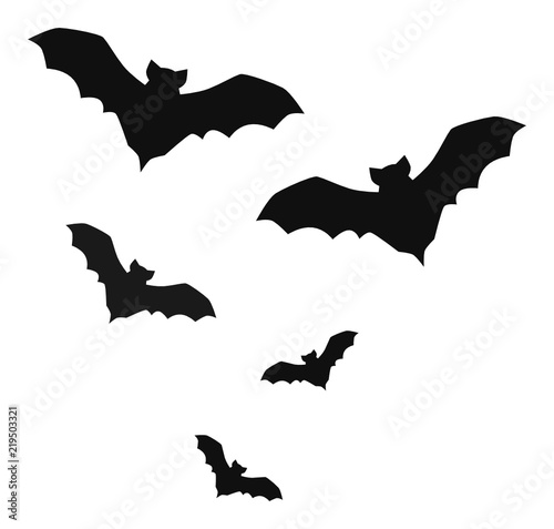 Fledermaus