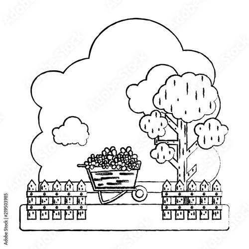 grunge flowers inside wheelbarrow with trees and grillage farm
