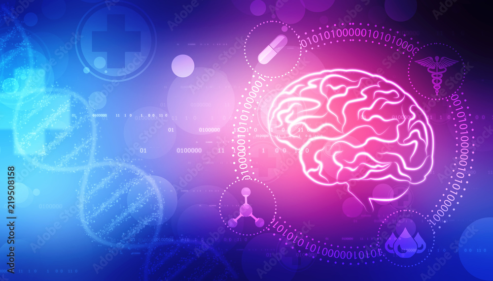 Human brain 2d illustration, Digital illustration of Human brain ...