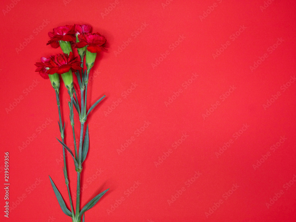 red carnations on a large red paper
