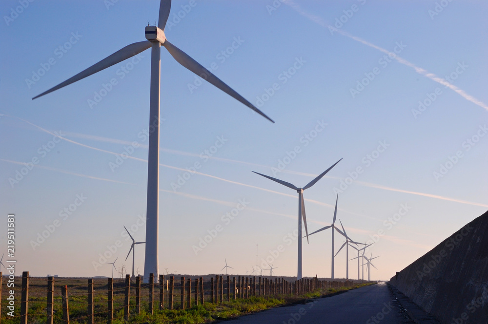 Fototapeta premium Wind turbines at a beach in Changhua, Taiwan