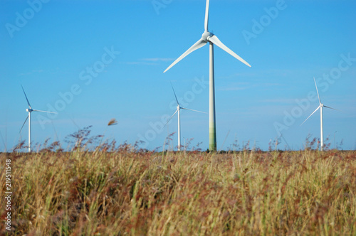 Wind turbines at a beach in Changhua  Taiwan