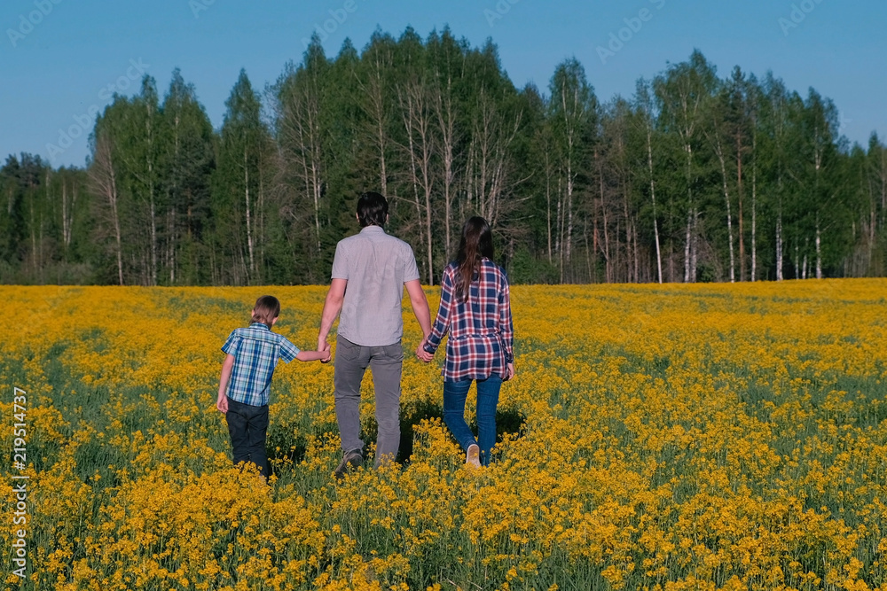 Family walk on the field with yellow flowers near the forest. Mom, son, dad back view.