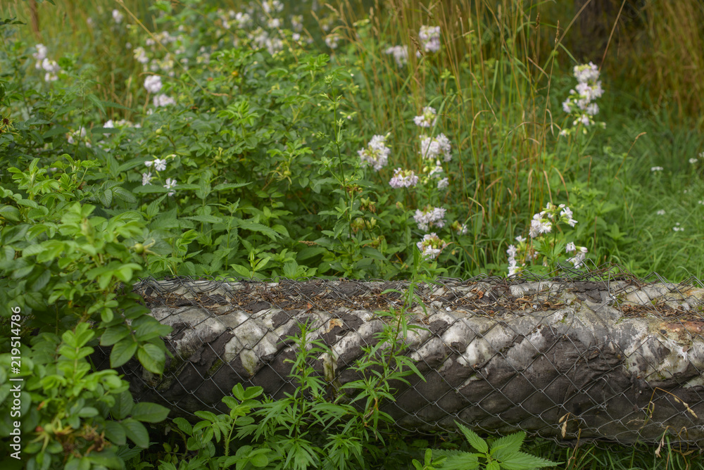 Obraz premium the old heating pipes