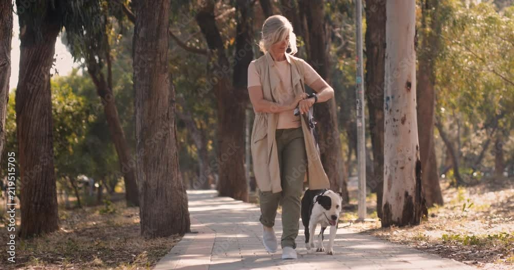 Mature woman with smartwatch walking dog and checking exercise progress