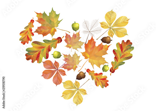 Heart of colorful autumn leaves isolated on white background. Simple cartoon flat style. Vector illustration.