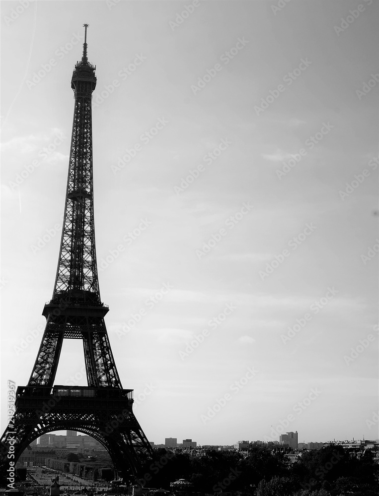 Obraz premium B&W Tower