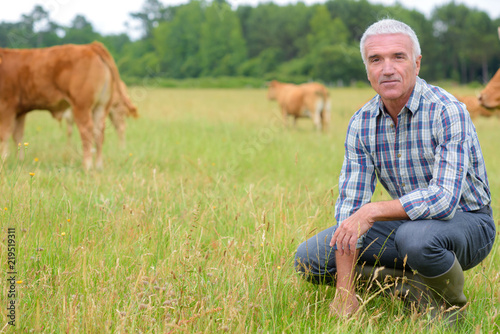 Εκτύπωση καμβά man posing outdoor with cows