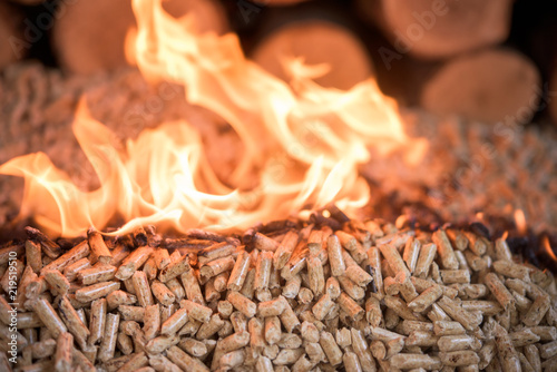 Wooden Biomass in fire