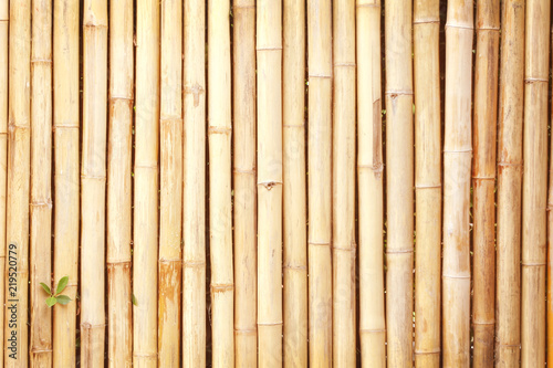bamboo wood texture fence Natural background light brown wooden wall and space
