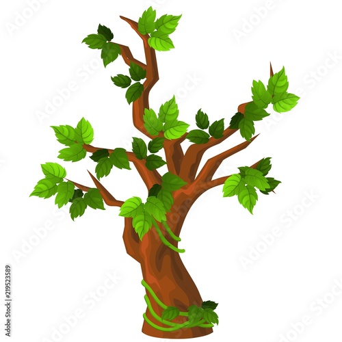 A deciduous tree with green leaves isolated on white background. Vector cartoon close-up illustration.