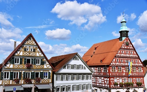 landscape with the historical City Hall in Backnang
