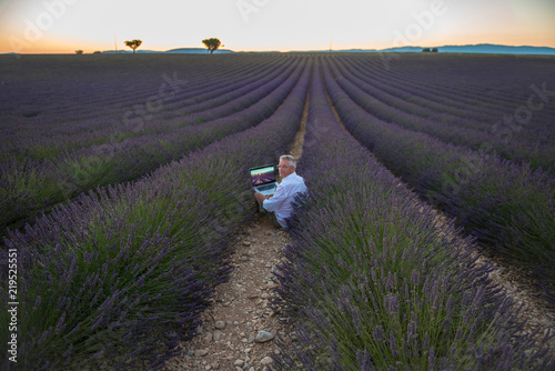 Man at work in Lavender field